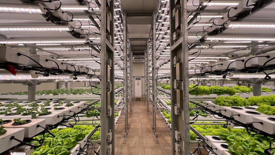 Walmart's Vertical Farming Initiative Threatens Traditional Agriculture as Indoor Farms Open Nationwide