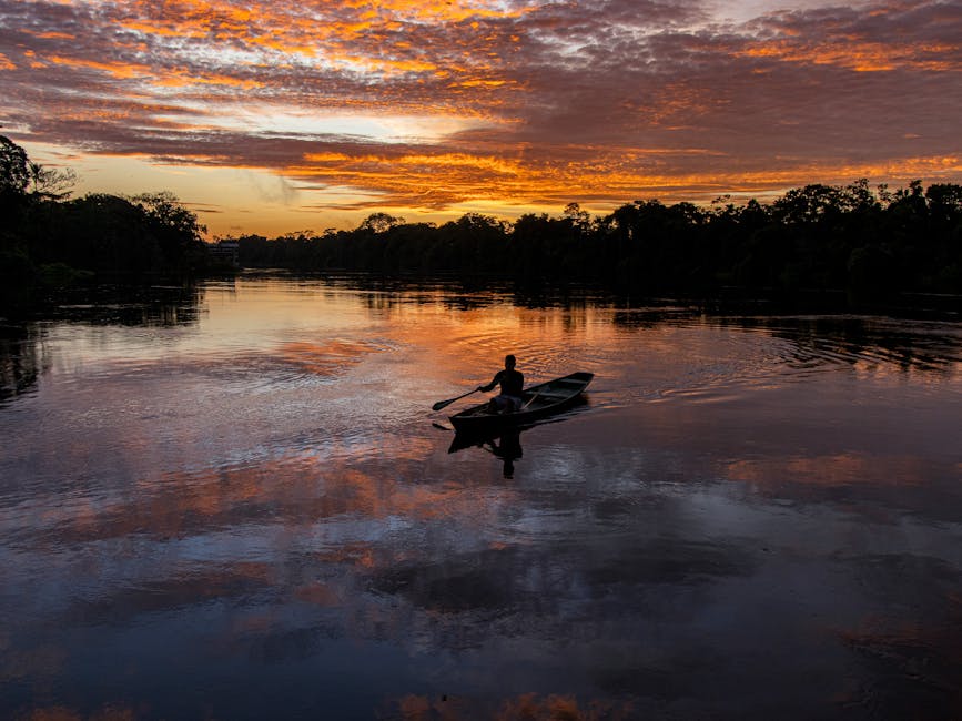 Brazil's Amazon Restoration Project Successfully Replants 10 Million Acres Using Advanced Drone Technology