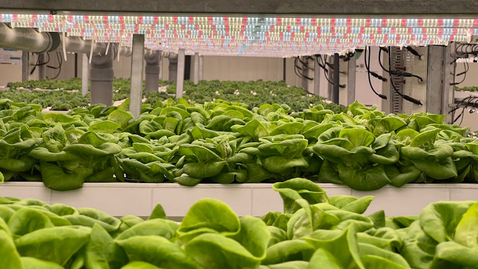Walmart's Vertical Farming Initiative Threatens Traditional Agriculture as Indoor Farms Open Nationwide