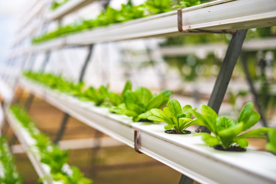 Revolutionary Vertical Farms in Singapore Produce First Lab-Grown Meat at Commercial Scale in 2026