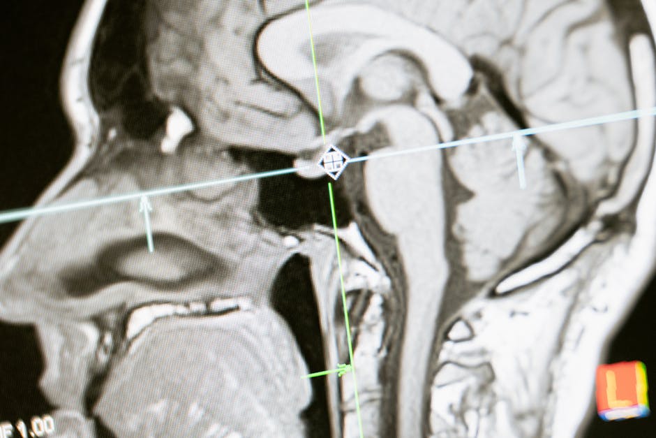 Revolutionary Brain Implant Allows Blind Patients to See Color for First Time in Groundbreaking Medical Trial