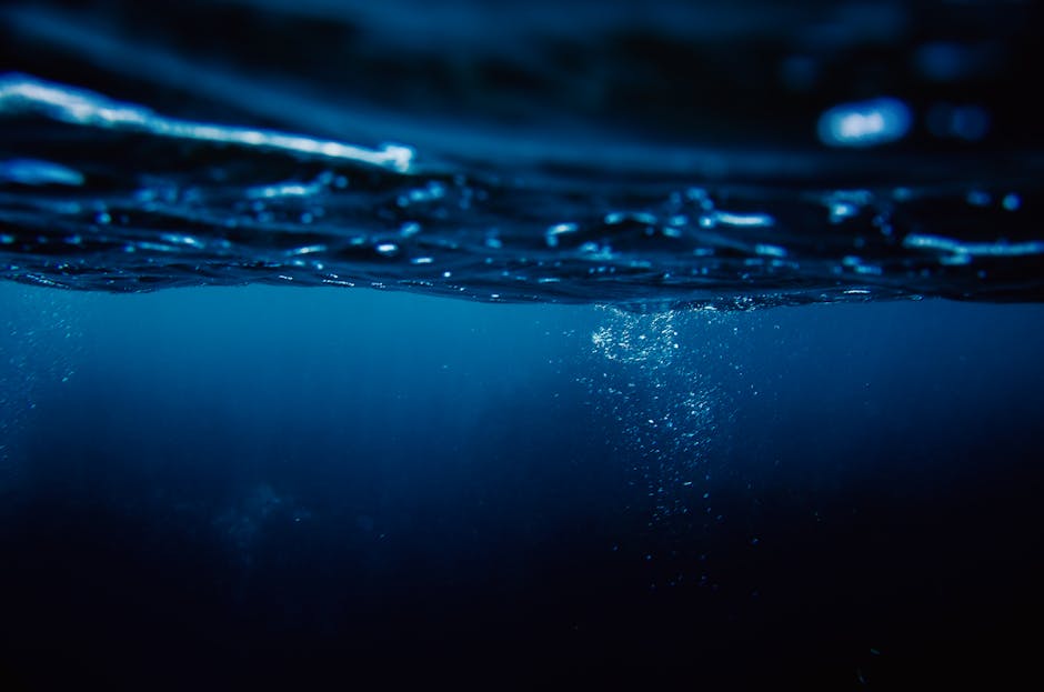 Revolutionary Deep Sea Exploration Submersible Discovers New Species 4 Miles Below Pacific Ocean Surface