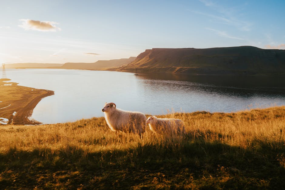 Iceland Successfully Converts Entire National Grid to Geothermal Energy as Country Becomes First Carbon-Negative Nation