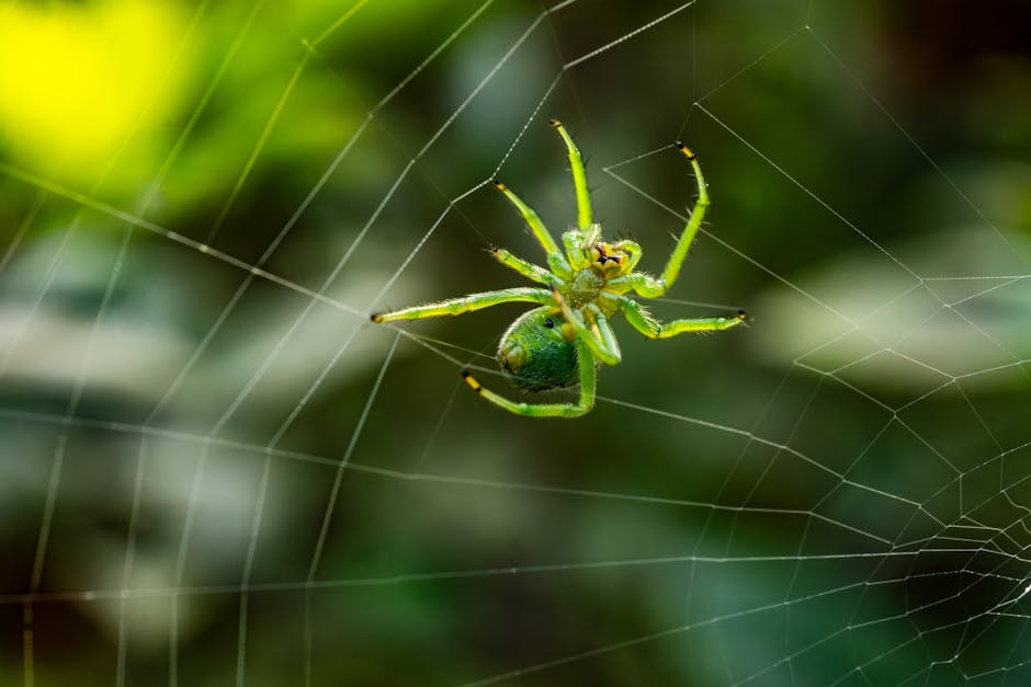Breakthrough Synthetic Spider Silk Production Facility Opens in Oregon Revolutionizing Bulletproof Clothing and Medical Device Manufacturing