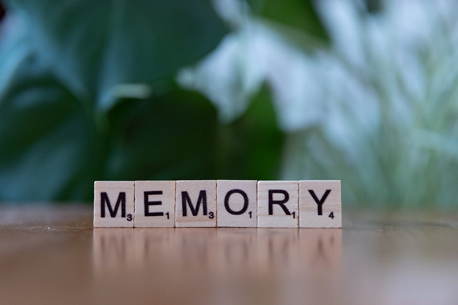 Revolutionary Memory Enhancement Implants Allow Students to Master Languages in 48 Hours During University Trials