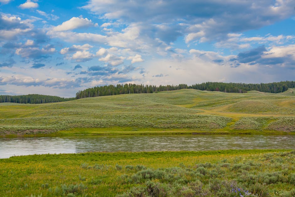 Wyoming Becomes First State to Elect AI-Assisted Governor Following Controversial 2026 Election Results