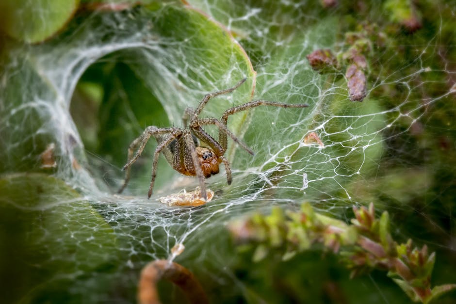 Breakthrough Synthetic Spider Silk Production Facility Opens in Oregon Revolutionizing Bulletproof Clothing and Medical Device Manufacturing