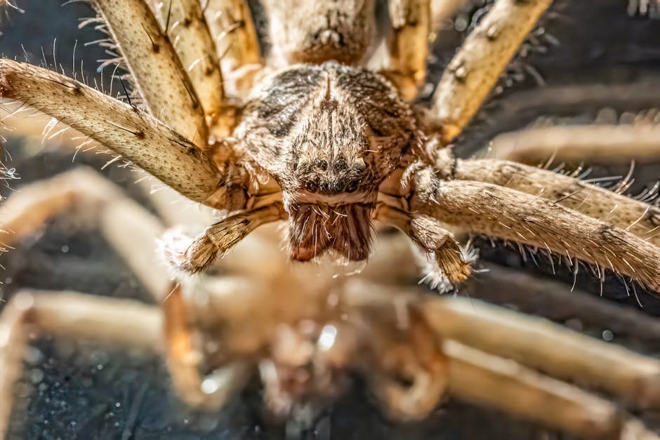Breakthrough Synthetic Spider Silk Production Facility Opens in Oregon Revolutionizing Bulletproof Clothing and Medical Device Manufacturing
